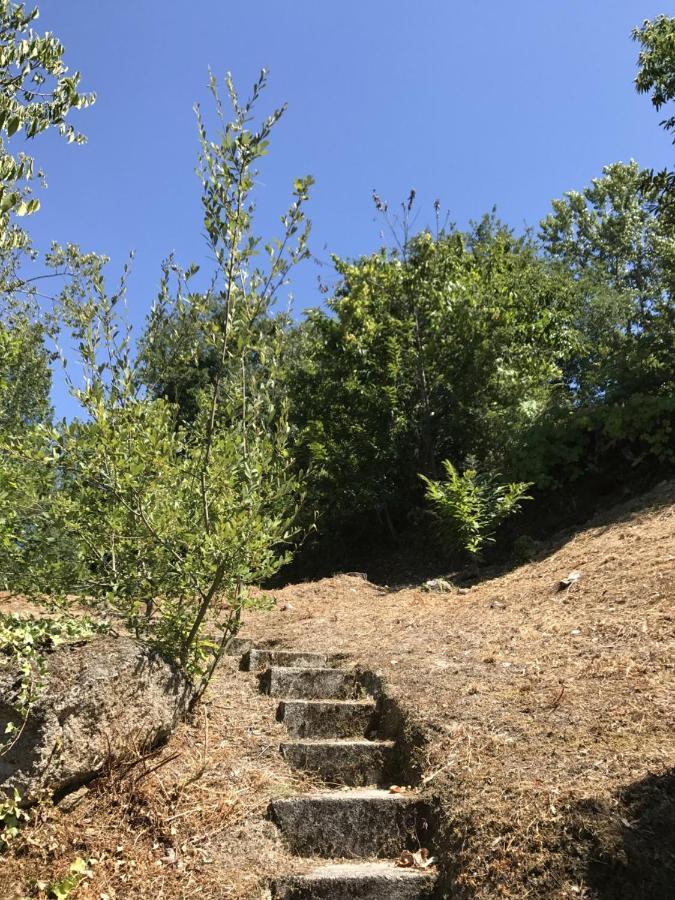 Quinta Do Ladario Villa Várzea Ovelha e Aliviada Eksteriør bilde